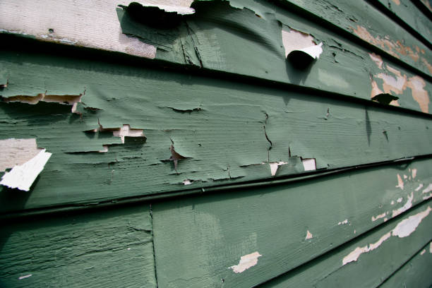 Best Property Management Cleanouts  in Shreveport, LA