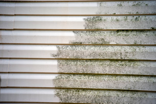 Best Hoarding Cleanup  in Shreveport, LA